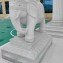 梅州 白麻花岗岩动物异形石雕-大象