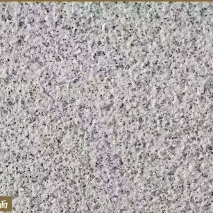 梅州白麻荔枝面