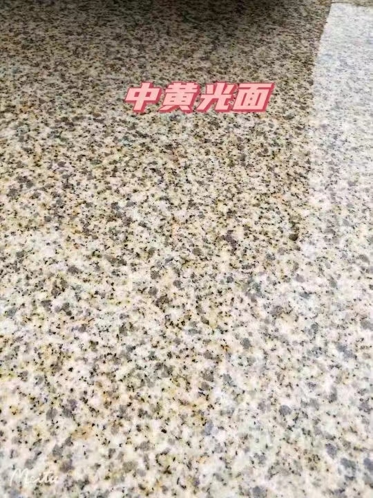 梅州黄金麻中黄光面