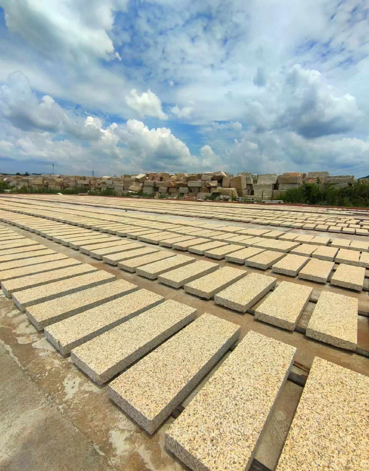 梅州 黄金麻荔枝面花岗岩石材地铺石防护中