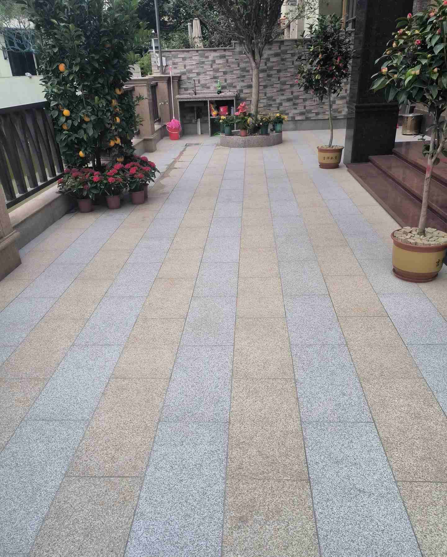 梅州 黄金麻白麻荔枝面庭院铺装展示